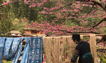 Cát Cát: Điểm hẹn mùa xuân Tây Bắc