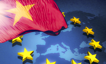 Năm bản lề tạo xung lực mới cho hợp tác Việt Nam - EU