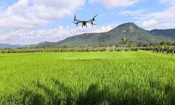 Ứng dụng công nghệ, hạt gạo Lâm Đồng nâng giá trị và sức cạnh tranh