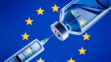 Liên minh châu Âu đầu tư 225 triệu euro vào vaccine cúm thế hệ mới