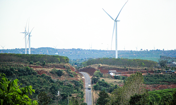 Xuân về trên những cánh đồng điện gió Gia Lai