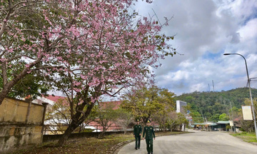 Xuân mới nơi phên dậu Tây Bắc