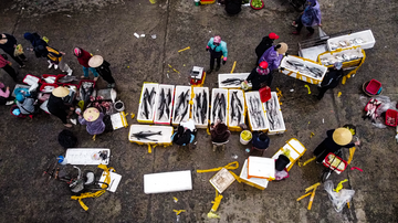 Cảng cá nhộn nhịp, ngư dân Hà Tĩnh phấn khởi đón 'lộc biển'