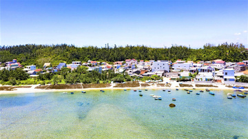 Bám biển Hoàng Sa giữ nghề lặn hải sâm tổ truyền