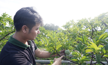 Tây Ninh: Từ sản xuất xanh đến mở rộng thị trường nông sản