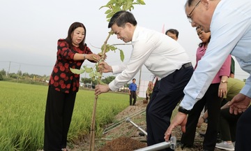 Cần Thơ phát động Tết trồng cây, kỳ vọng vụ lúa Đông Xuân thắng lợi