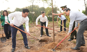 Thành phố Huế: Phát động Tết trồng cây đời đời nhớ ơn Bác Hồ
