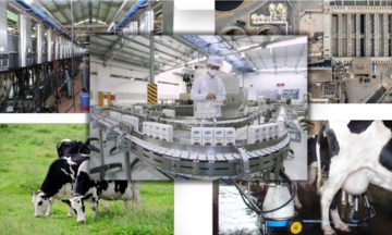 Phấn đấu đến năm 2030, tăng trưởng ngành sữa bình quân đạt 12 - 14%/năm