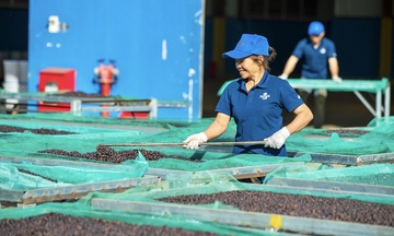 Doanh nghiệp Gia Lai vào guồng sản xuất đầu năm