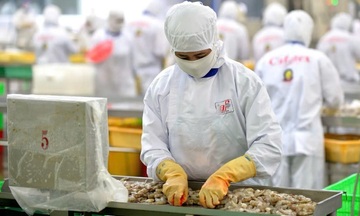 EU số hóa chứng nhận khai thác: Doanh nghiệp thủy sản cần lưu ý gì?