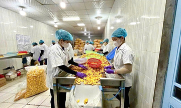 Đồng Tháp: Doanh nghiệp xuất khẩu tăng tốc sản xuất ngay sau Tết