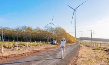 Giới trẻ thích thú  'check-in' cánh đồng điện gió đẹp tựa trời Âu 