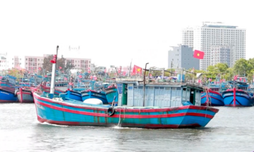 Ngư dân miền Trung 'mở biển' đầu năm, kỳ vọng biển lặng, cá đầy