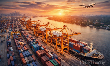 Triển vọng xuất nhập khẩu 2026: Cơ hội lớn tại thị trường Mỹ, EU