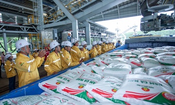Petrovietnam xuất khẩu lô hàng 40.000 tấn phân bón đầu tiên sang Mỹ