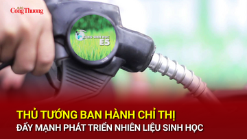 Thủ tướng ban hành chỉ thị đẩy mạnh phát triển nhiên liệu sinh học