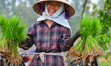 Bà con nông dân ngoại thành Hà Nội hồ hởi xuống đồng sản xuất vụ xuân