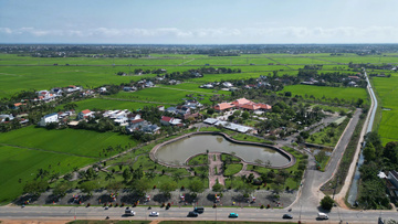 Quảng Ngãi: Mai vàng rực rỡ tại Khu lưu niệm Thủ tướng Phạm Văn Đồng