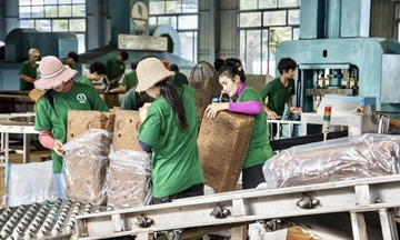 Ngành cao su Gia Lai bắt nhịp 'cuộc chơi' toàn cầu