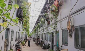 TP. Hồ Chí Minh: Nhu cầu tìm nhà trọ tăng mạnh đầu năm