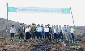 Ra quân trồng cây hưởng ứng Tháng Thanh niên 2026