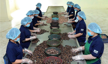 Nông sản Việt hướng tới chinh phục mục tiêu xuất khẩu 100 tỷ USD