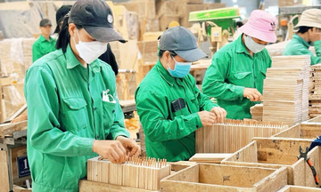 Khí thế sản xuất rộn ràng tại các doanh nghiệp ở Gia Lai