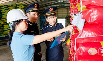 Rà soát dữ liệu hải quan Công ty Vạn Phát Long An và Thu Phát Thành