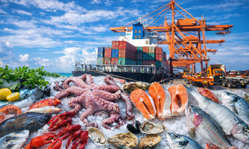 Xung đột tại Trung Đông: Doanh nghiệp xuất khẩu thủy sản cần làm gì?
