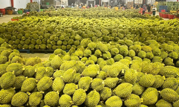 Hướng tới mốc 1 tỷ USD, sầu riêng siết chặt tiêu chuẩn chất lượng