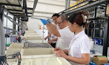 Sản xuất khởi sắc: Chuyên gia, doanh nghiệp nói gì?