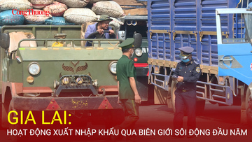 Gia Lai: Hoạt động xuất nhập khẩu qua biên giới sôi động đầu năm