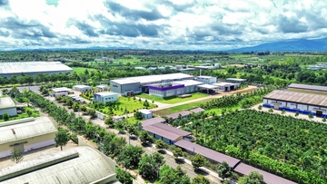 Gia Lai: Thu hút 51 dự án với hơn 51.300 tỷ đồng vốn đăng ký đầu năm 2026