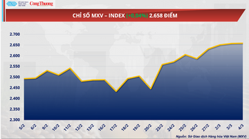 Giá đường thế giới duy trì quanh mức thấp nhất trong 5 năm qua