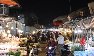 Hà Nội: Chợ hoa Quảng An nhộn nhịp, giá tăng cao dịp 8/3