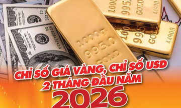 Chỉ số giá vàng và USD trong nước 2 tháng năm 2026