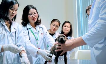 Khi phụ nữ vun đắp 'đất lành' cho khoa học, nông nghiệp 