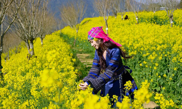 Chiêm ngưỡng những thiên đường hoa đẹp nhất dịp 8/3