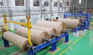 Giải 'bài toán' xử lý mảng bám vi sinh trong sản xuất giấy bao bì 