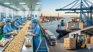 Tiêu chuẩn khắt khe cho hạt điều Việt khi vào thị trường Bắc Âu