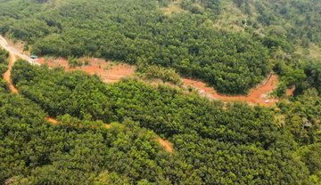 Lâm Đồng tháo gỡ 'điểm nghẽn' các dự án năng lượng, khoáng sản