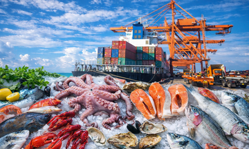 Xung đột Trung Đông tác động thế nào đến xuất khẩu thủy sản Việt Nam?
