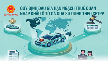 Infographic | Quy định đấu giá hạn ngạch thuế quan nhập khẩu ô tô đã qua sử dụng theo CPTPP