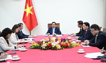 Thủ tướng điện đàm với Tổng thống UAE, Thủ tướng Qatar bàn về hợp tác năng lượng