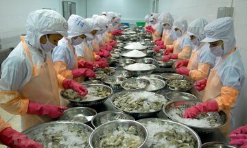 Xuất khẩu thủy sản Việt Nam kỳ vọng khởi sắc trong tháng 3