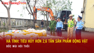 Hà Tĩnh: Tiêu hủy 2,6 tấn sản phẩm động vật bốc mùi hôi thối