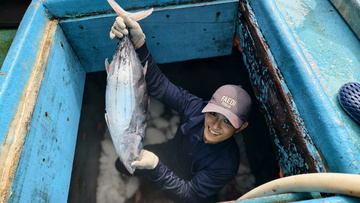 Quảng Ngãi chủ động thích ứng với biến động giá xăng dầu