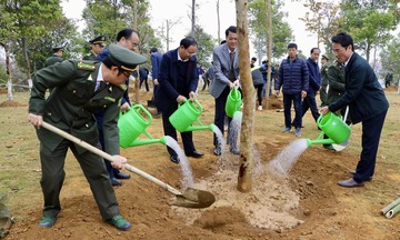 Lai Châu phát động Tết trồng cây gắn với bảo vệ rừng đầu nguồn sông Đà