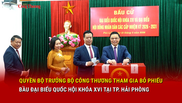 Quyền Bộ trưởng Bộ Công Thương tham gia bầu cử đại biểu Quốc hội khóa XVI tại TP. Hải Phòng