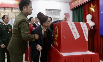 Những 'cây cao bóng cả' góp sức cho ngày hội non sông